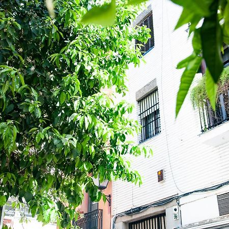 Alohamundi Cruz Verde เซบีญา ภายนอก รูปภาพ