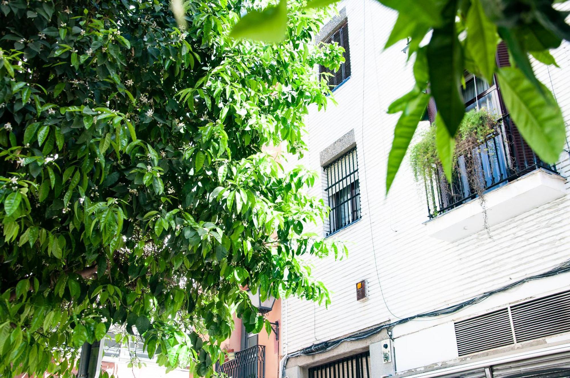 Alohamundi Cruz Verde เซบีญา ภายนอก รูปภาพ